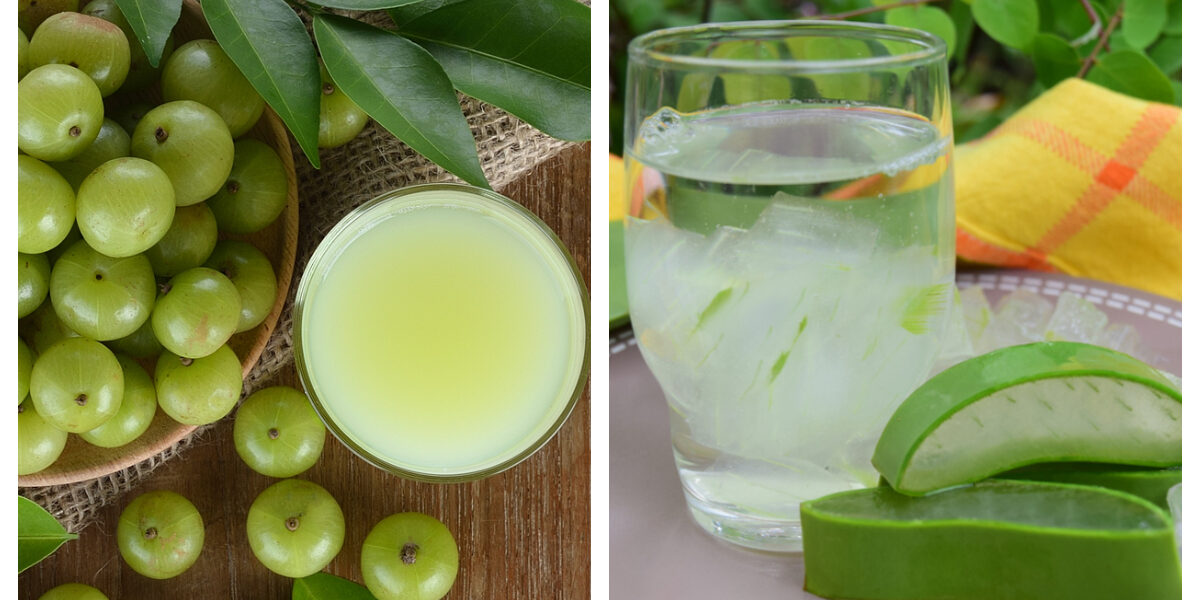 Reasons To Have AVG Amla Alovera Juice Healthly tonic AVG